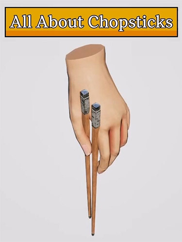 All About Chopsticks: The Culinary Simulation